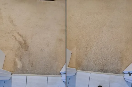 Before and After pics of a job in Warner, Brisbane
