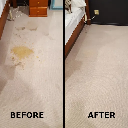 Vomit stain removal from wool carpet - BEFORE/AFTER