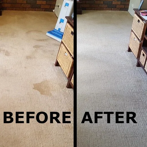 Lounge room carpet clean - BEFORE/AFTER