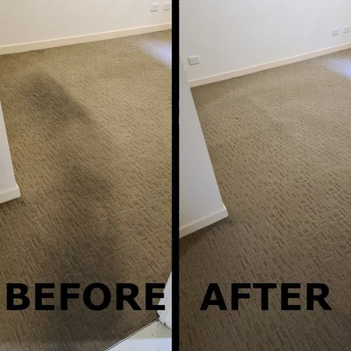 Carpet clean - BEFORE/AFTER